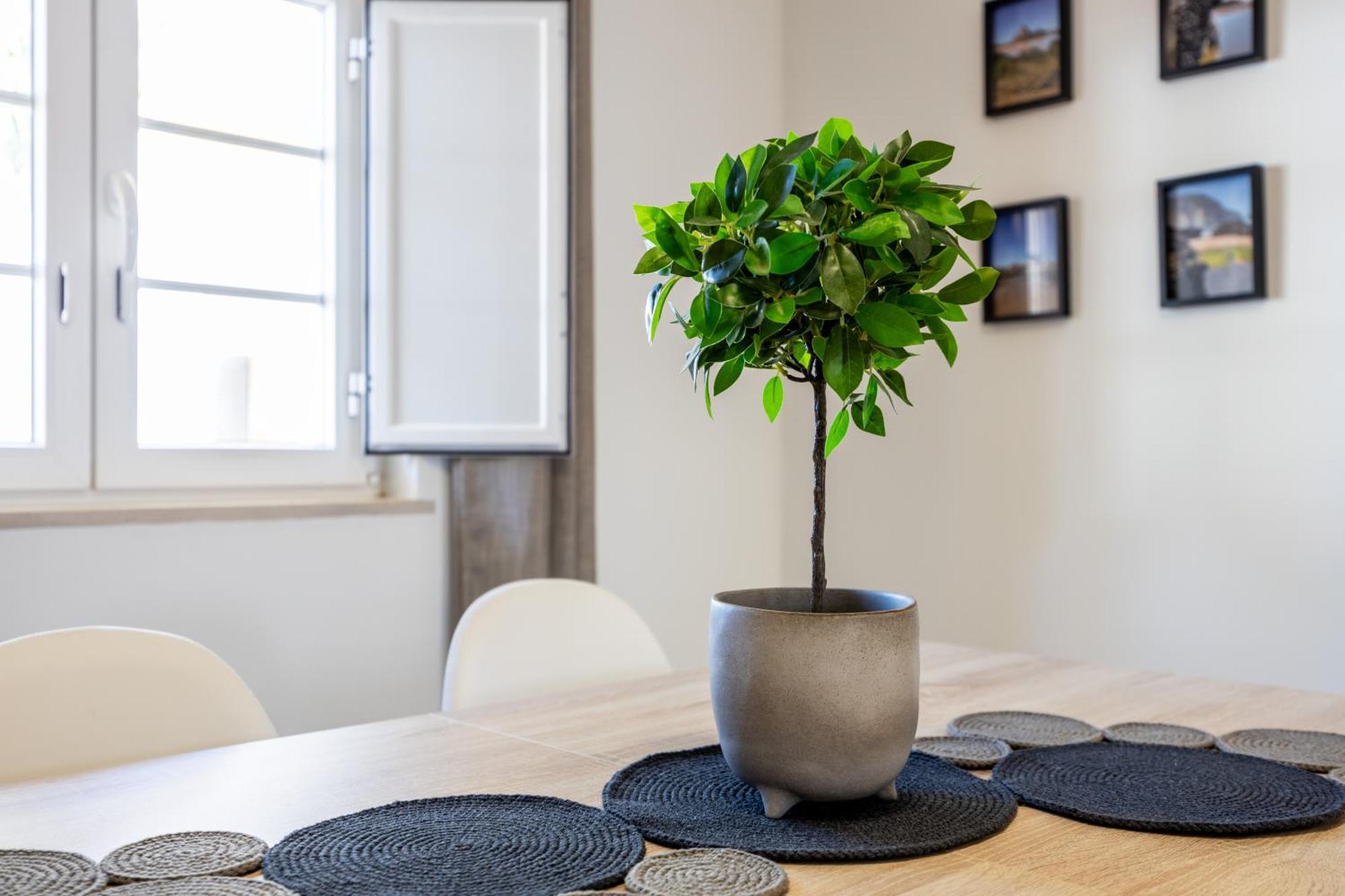Casa Memoria Apartment Vila do Bispo Ngoại thất bức ảnh